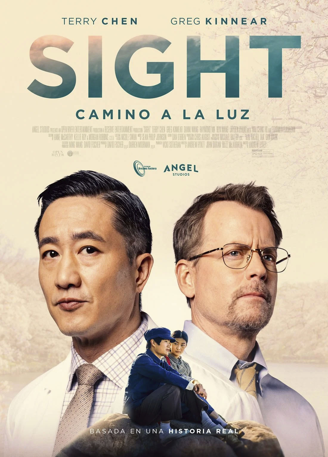 Película Sight: Camino a la luz